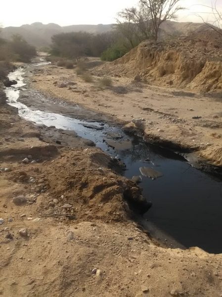 مصدر يكشف من يقف خلف تفجير أنبوب النفط في شبوة