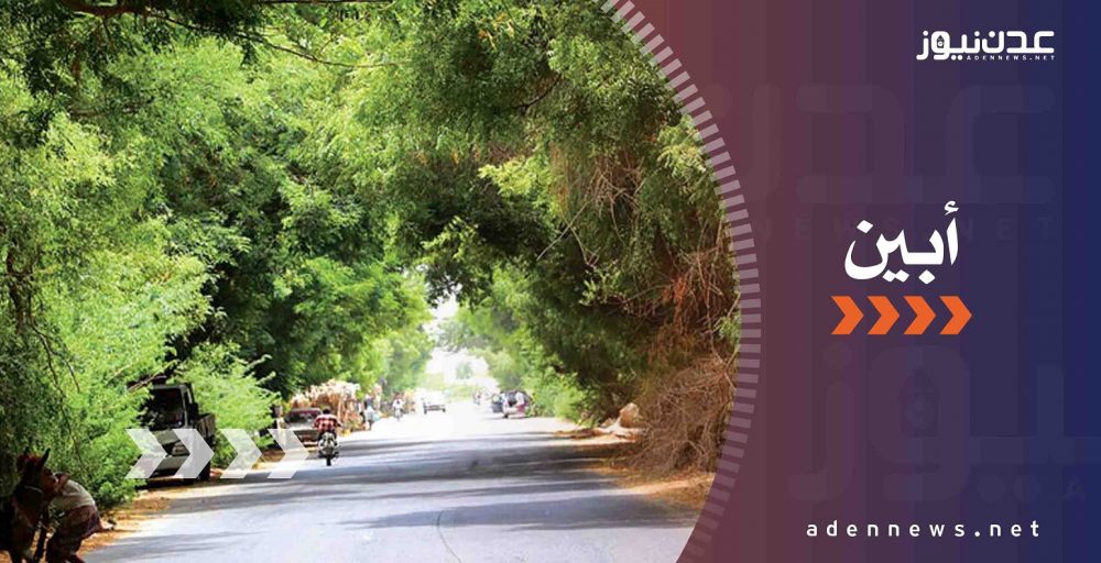 محافظ ابين ومدير مكتب التربية يناقشان خطط تحسين القطاع التعليمي في المحافظة