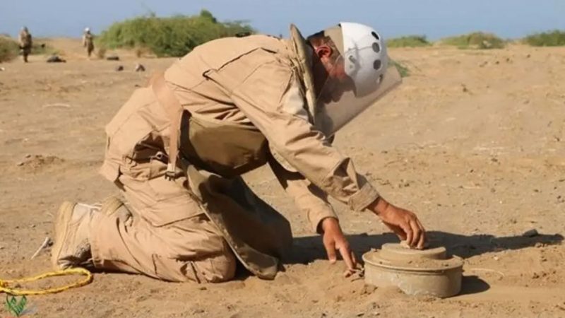 مسام ينتزع أكثر من 2100 لغم وذخيرة غير منفجرة خلال الأسبوع الثاني من يونيو