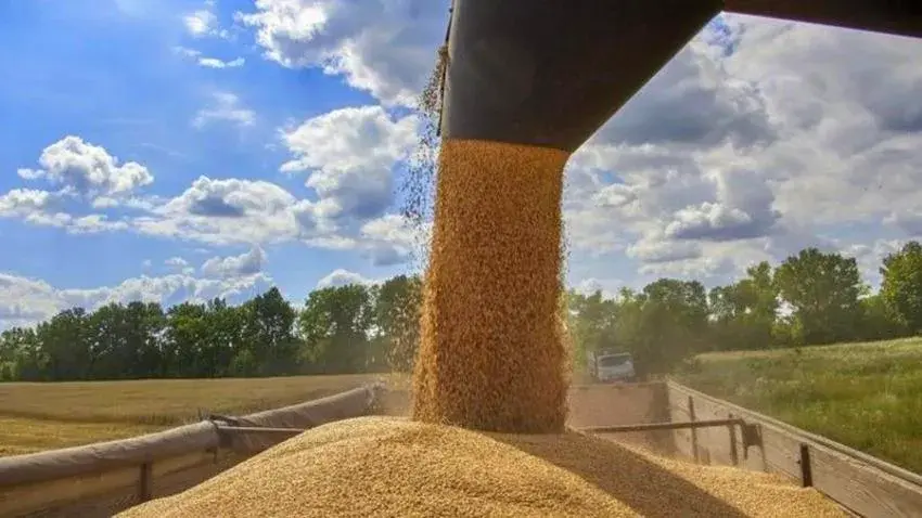فضيحة جديدة لحكومة معين.. بولندا تسحب منحة القمح لليمن بعد عجز الحكومة عن توفير تكاليف النقل